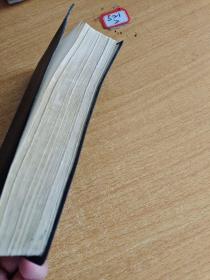 新编小小英汉词典