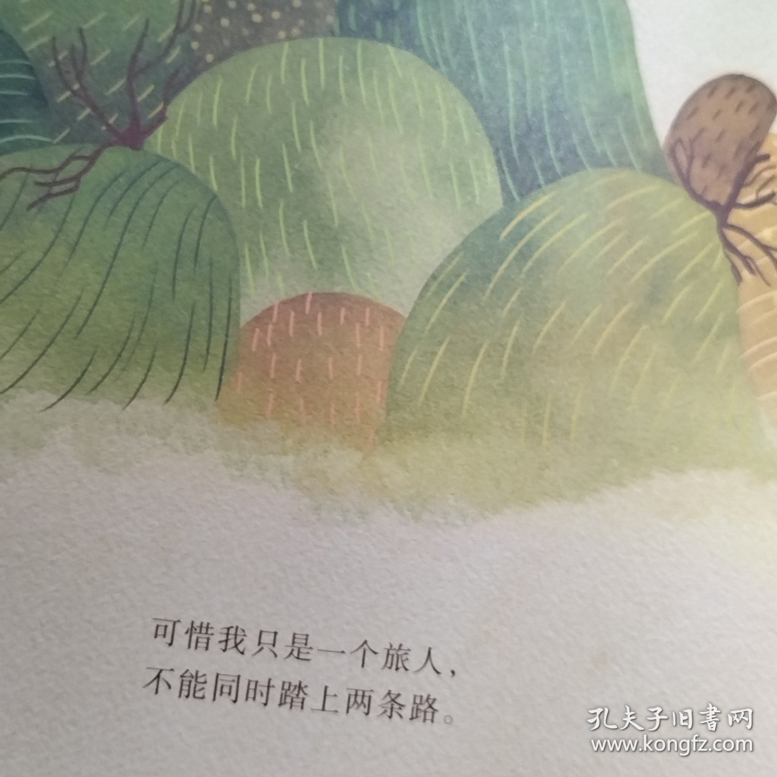 新蕾精品绘本馆——未选择的路