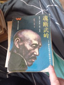 魂断武岭4.包邮。