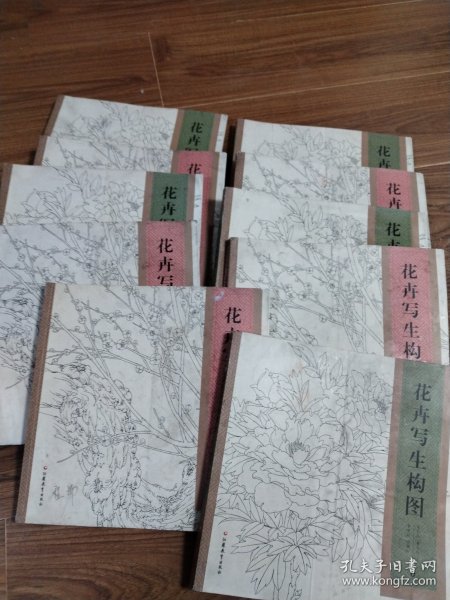 花卉写生构图 上下