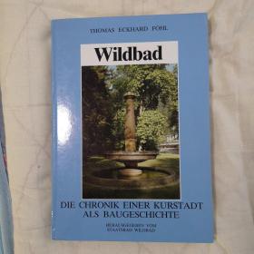 Wildbad（温泉浴场）