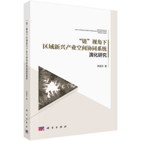 “鏈”視角下區(qū)域新興產(chǎn)業(yè)空間協(xié)同系統(tǒng)演化研究