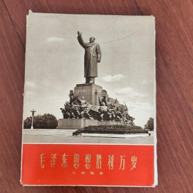 毛泽东思想胜利万岁大型雕塑画片一套，34公分