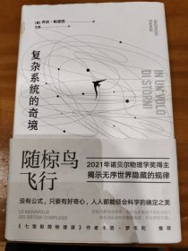 随椋鸟飞行：复杂系统的奇境