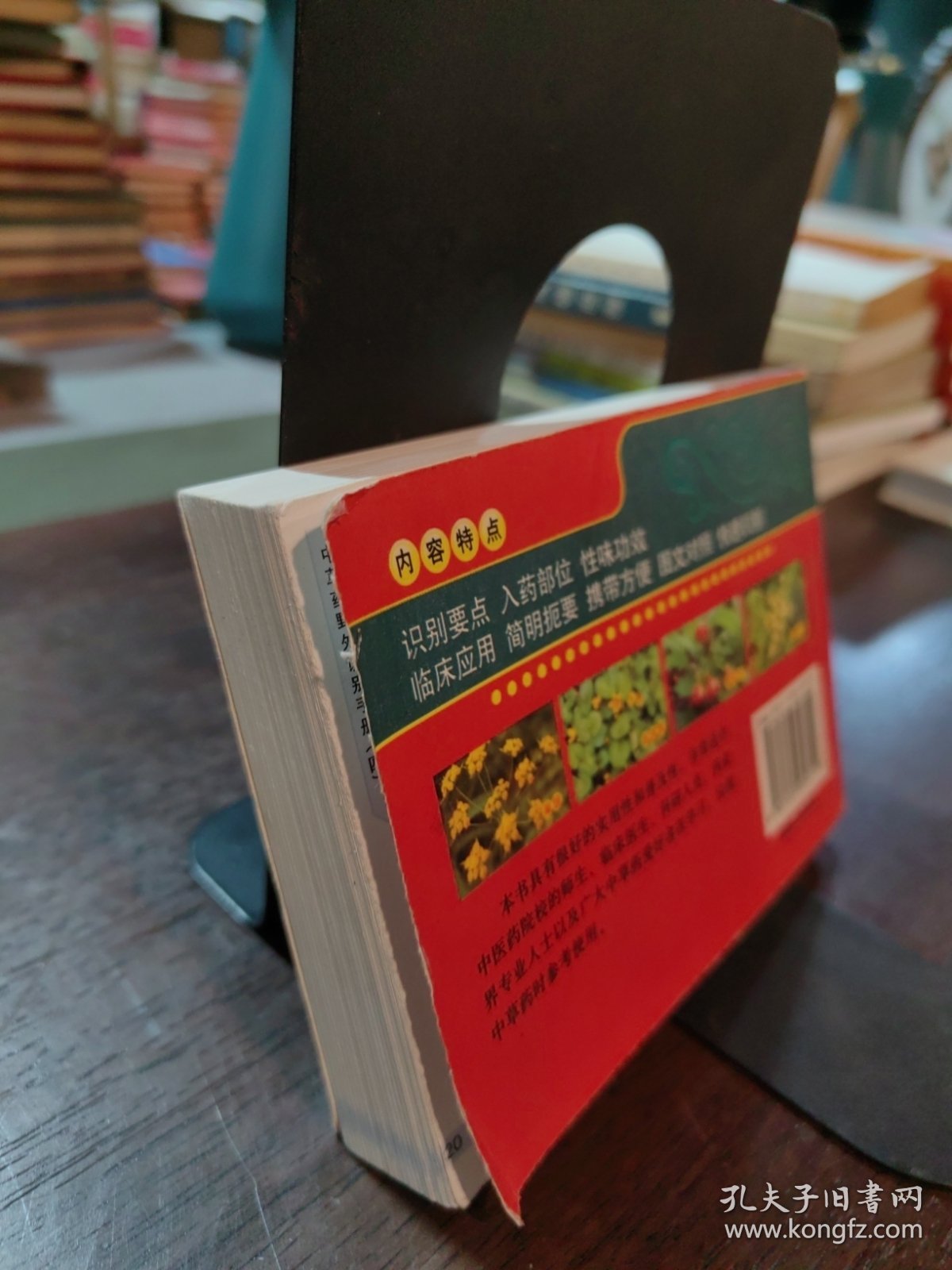 中草药野外识别手册4