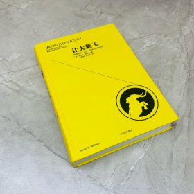 让大象飞:激进创新，让你一飞冲天的创业术