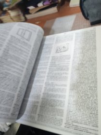 Encarta World English Dictionary 微软世界英语大辞典