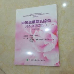 中国进展期乳腺癌共识指南2020(CABC3)