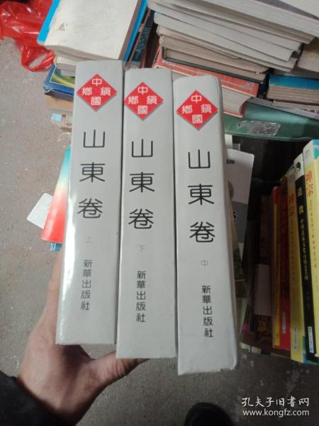 中国乡镇山东卷，上中下