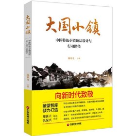 [文轩] 大国小镇 陈光义 主编 中国财富出版社