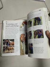 the kingfisher illustrated house & pony encyclopedia【大16开硬精装英文原版彩印】