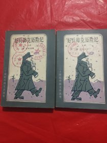 好兵帅克历险记<上下册>