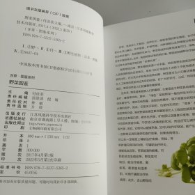 野菜图鉴