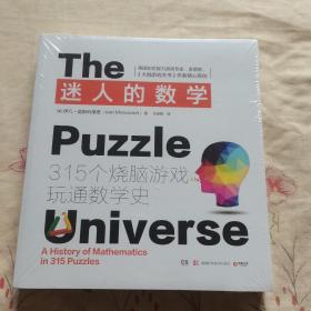 迷人的数学：315个烧脑游戏玩通数学史