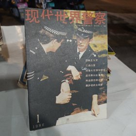 现代世界警察