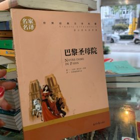 巴黎圣母院 名家名译世界经典文学名著 原汁源味读原著