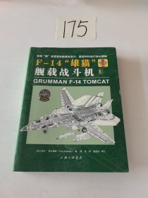 F-14“雄猫”舰载战斗机