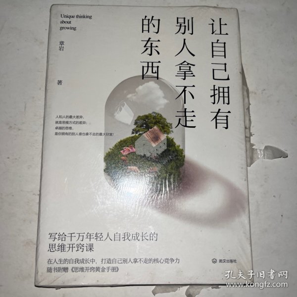 让自己拥有别人拿不走的东西：写给千万年轻人自我成长的思维开窍课