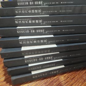 武汉历史建筑与城市研究系列丛书(武汉近代教育建筑,饭店 宾馆 交通建筑,公馆 别墅 故居建筑,市政 公共服务建筑,领事馆建筑,洋行公司建筑,里分建筑,金融建筑,娱乐医疗建筑(九本)