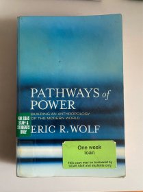 Pathways of Power : Building an Anthropology of the Modern World