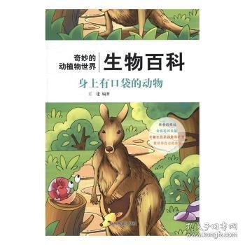 身上有口袋的动物/奇妙的动植物世界生物百科