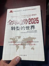 全球趋势2025：转型的世界