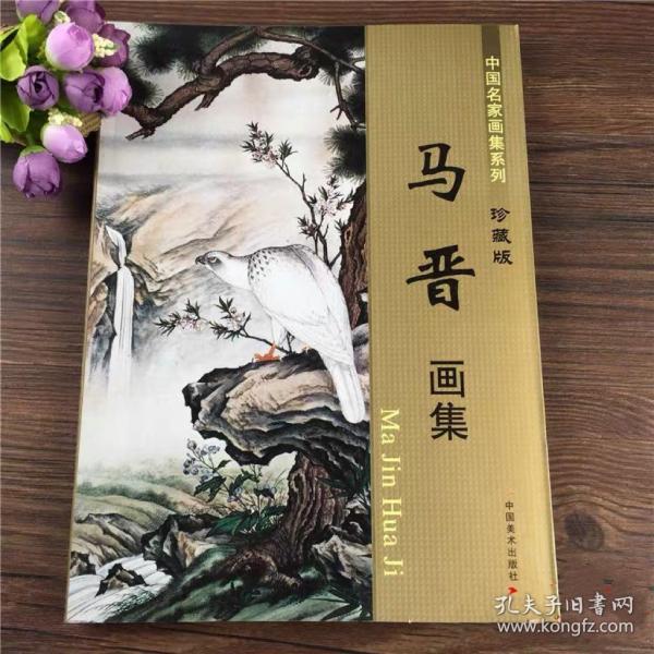 中国名家画集系列 胡佩衡画集珍藏版 写生山水景色国画册