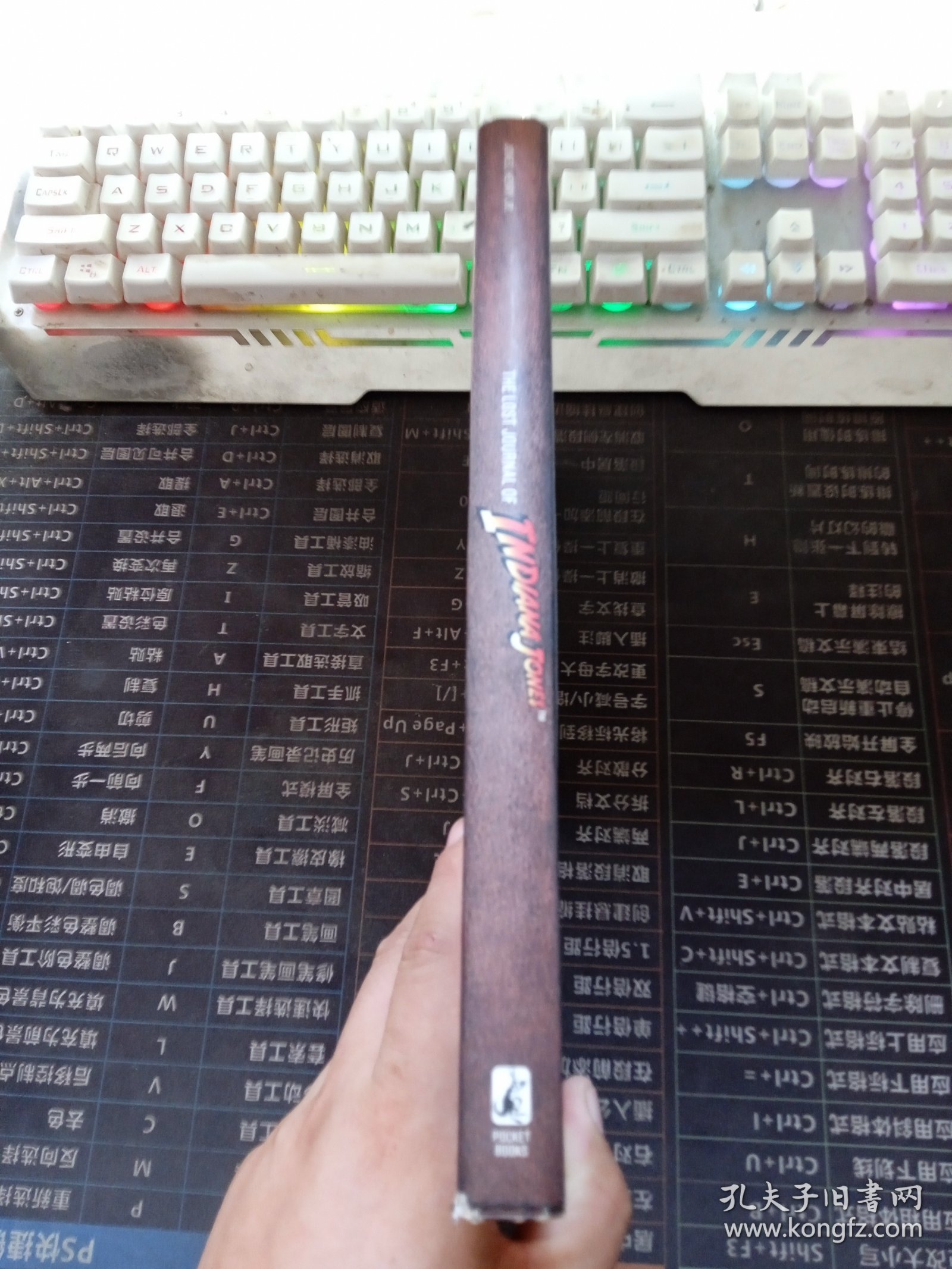 THE LOST JOURNAL OF INDIANAJONES