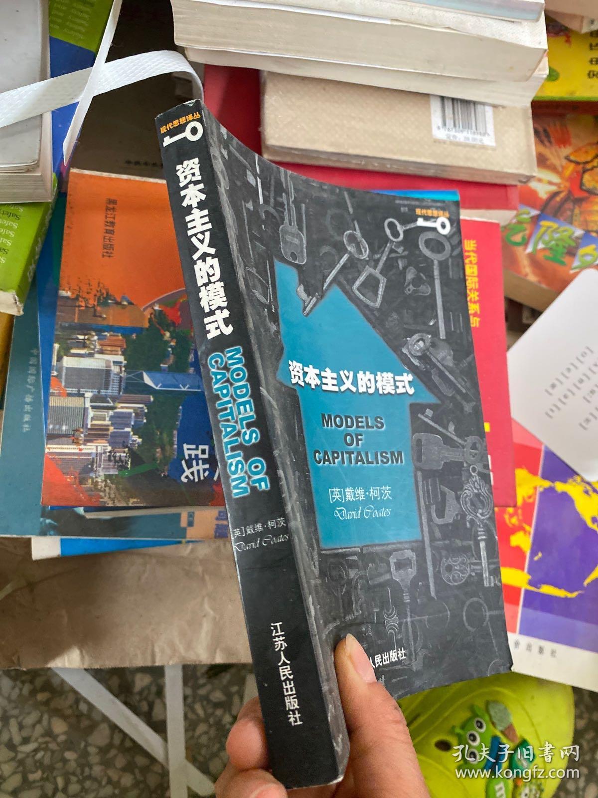 资本主义的模式——现代思想译丛