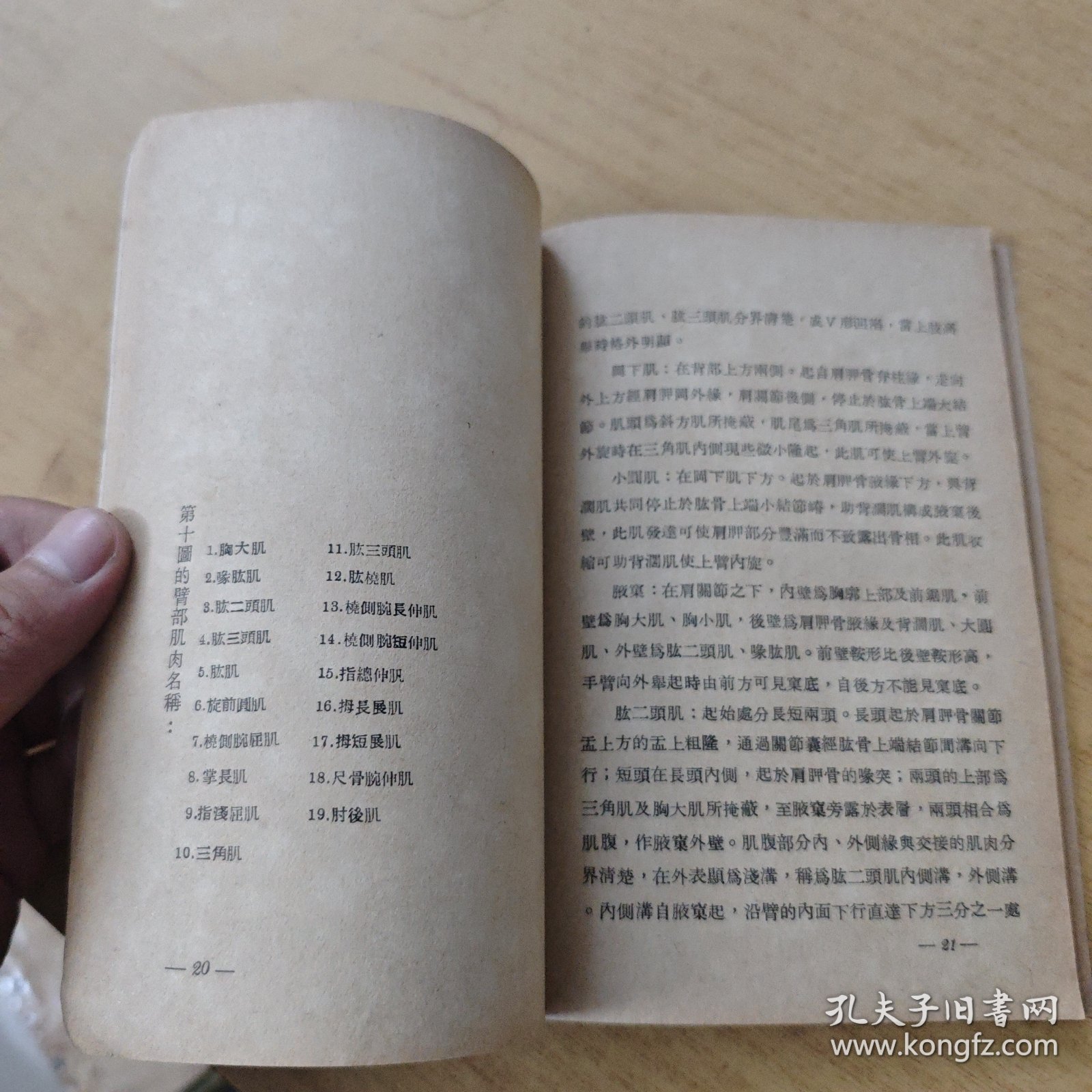 点击查看原图 四股部畫法 人體基本书法之二