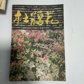 杜鹃花