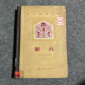 亚非文学丛书：新兵  精装本