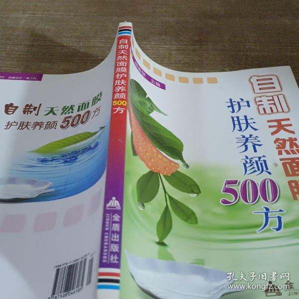 自制天然面膜护肤养顏500方