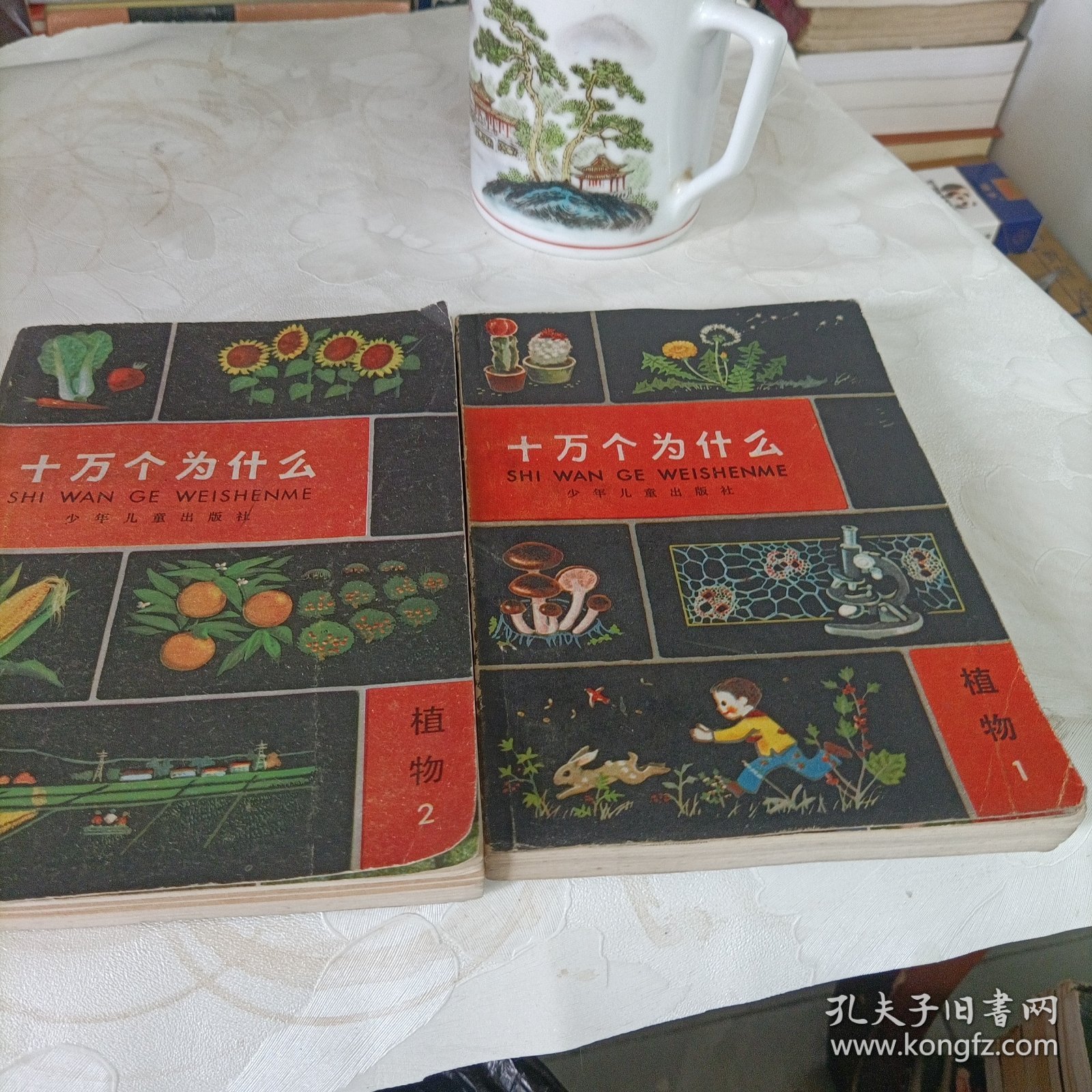 十万个为什么——植物【1～2】