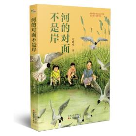 河的对面不是岸 儿童文学 宋晓杰 新华正版