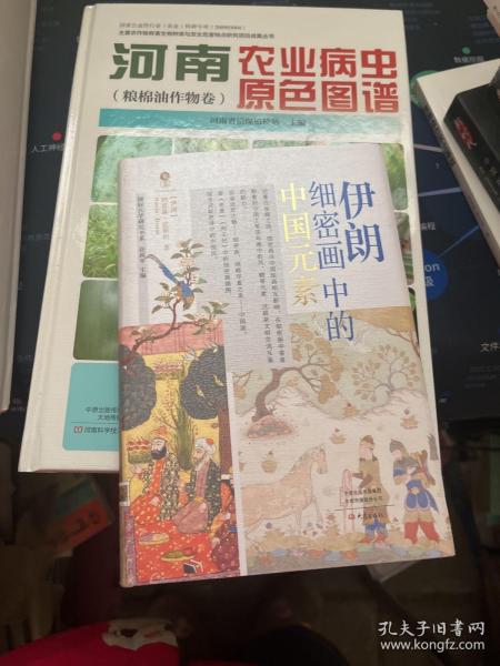 伊朗细密画中的中国元素