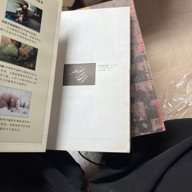 黑镜头(4