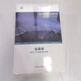 硅星球：—微电子学与纳米技术革命