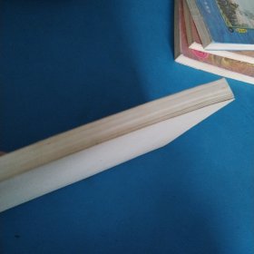 云中子武侠小说江湖娱情系列:花痴太岁(下)(一版一印,仅印3000册)