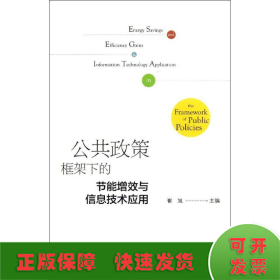 公共政策框架下的节能增效与信息技术应用