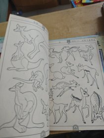 动物卡通画法（1-6）6册合售