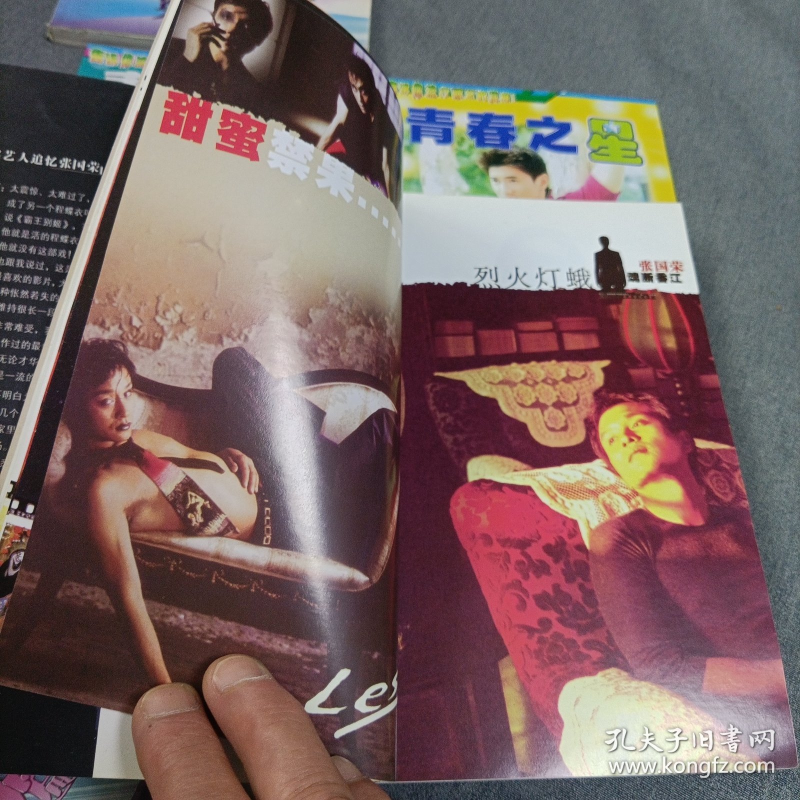 拒绝再玩《张国荣魂断香江》、童话里的公主《梁咏琪》、青春之星《港剧红星日历手册，2册》、叛逆小子——谢霆锋