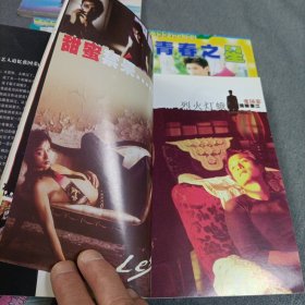 拒绝再玩《张国荣魂断香江》、童话里的公主《梁咏琪》、青春之星《港剧红星日历手册，2册》、叛逆小子——谢霆锋