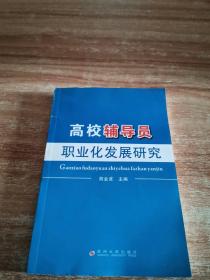 高校辅导员职业化发展研究