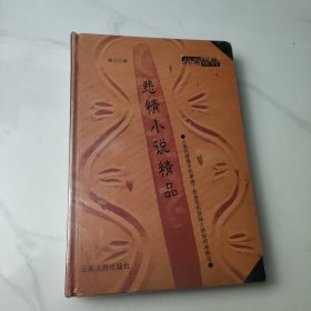 悲情小说精品