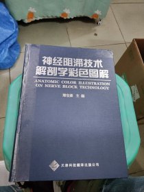 神经阻滞技术解剖学彩色图解