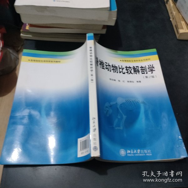 脊椎动物比较解剖学