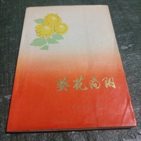 葵花向阳(品相见图)/CT25