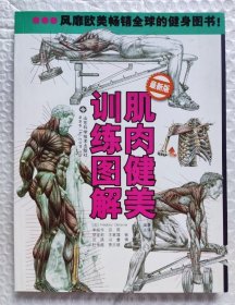 肌肉健美训练图解 （2013年1版3印）