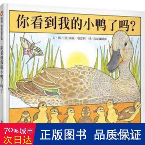 信谊宝宝起步走：你看到我的小鸭了吗？